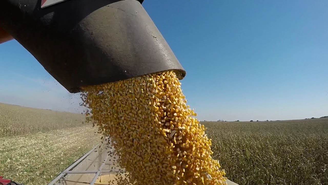 Why is Africa called plateau continent? Ask Library