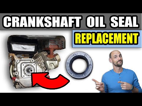 Oil Seal Replacement - Small Engine Crankshaft Seal