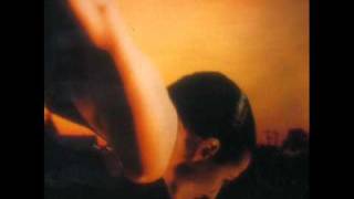 Porcupine Tree Radioactive toy