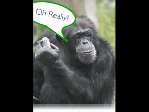 Dare DT ft. Martin - Ej navistina.wmv