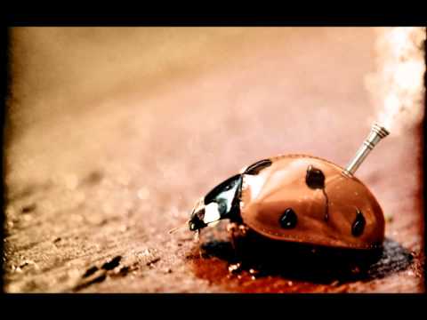 Richard Skelton - Heys ( A Broken Consort )