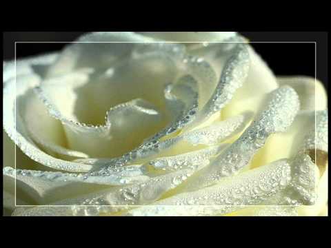 KLAPA VERSE - TIJA BI TE ZABORAVIT