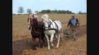 Im Märzen der Bauer   Kinderlied aus Mähren        YouTube