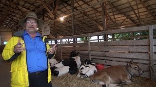 preview picture of video 'Agricultural Show (Fair) Croswell Fair  - REAL USA Ep. 103'