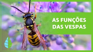 PARA que SERVEM as VESPAS? 🐝💛 (4 funções)