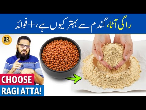 Ragi Ka Atta: Gandum Se Behtar? | Finger Millet Flour Vs What Flour | Dr. Ibrahim