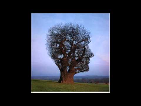 Vikkei: Bass Drum Generation