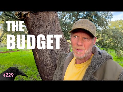 What's the Budget for This House Renovation?