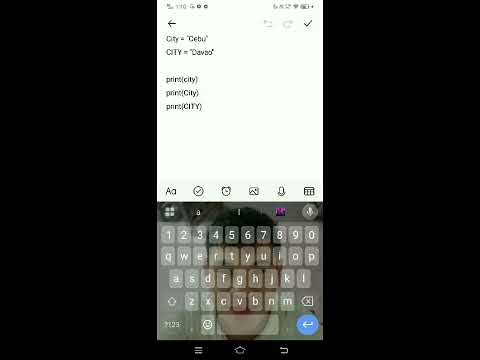 Demonstrating Case Sensitivity In Python Level Ll Problem 9