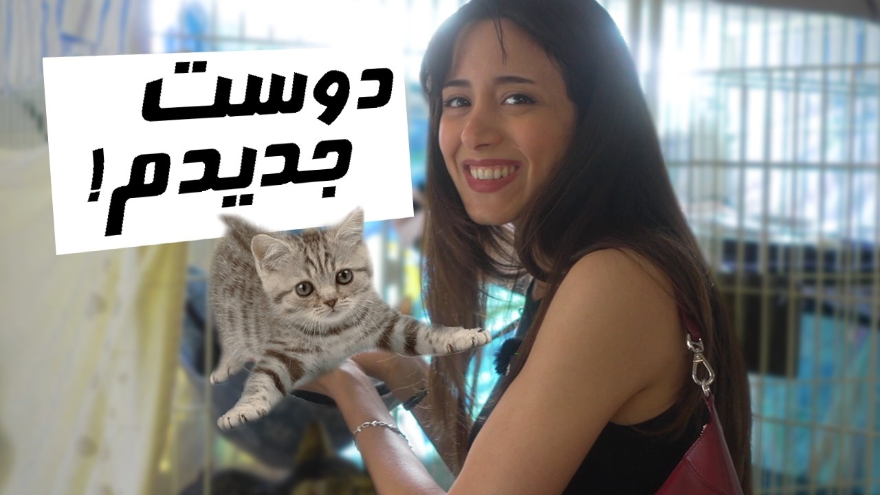 همه ی اتفاقای ماه گذشته!