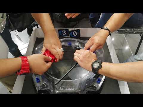 Zwei and Lord Spriggan Attack Mode