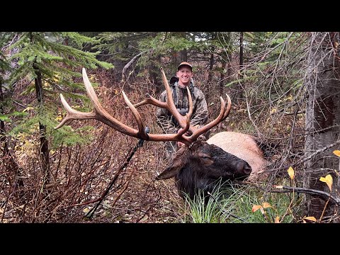 Elchjagd in der Spätsaison – Im Brunftmodus 195