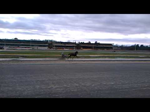 Harness racing - Austria