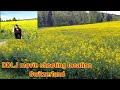 DDLJ Movie Shooting Location Switzerland Switzerland Lo Telugu Ammayi Telugu Travel Vlogs