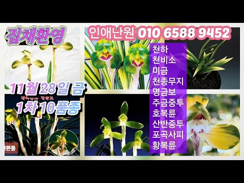 유튜브 썸네일
