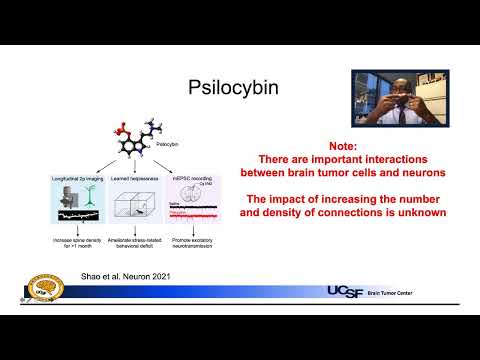 Psilocybin and Neuroplasticity | UCSF Brain Tumor Center
