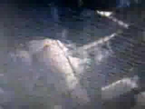 Rage in a cage #4 duwie v.s jessy the messy