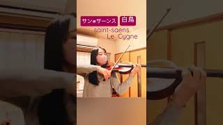 Download lagu サン=サーンス「白鳥」Saint=Saens「Le Cygne」 mp3 Download lagu サン=サーンス「白鳥」Saint=Saens「Le Cygne」 mp3