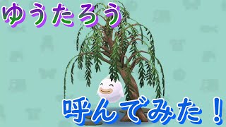 ゆうたろうのやなぎのきを作って、ゆうたろうを呼んでみた！【ポケ森】