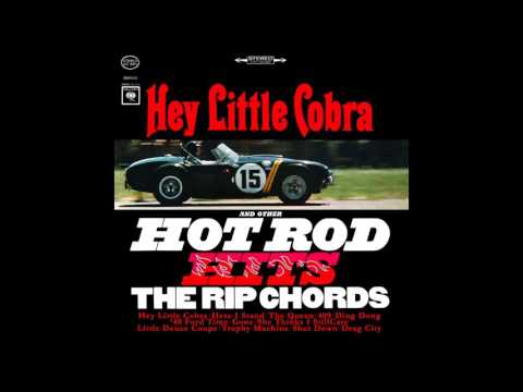 Hey Little Cobra | Stereo Remix | The Rip Chords
