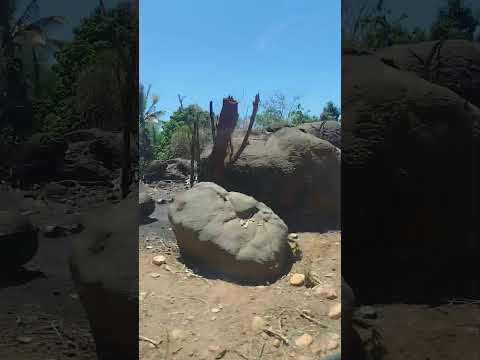 Vídeo 5, Sítio Saco, Pedra Branca, alto sertão da Paraíba (16/10/2025)