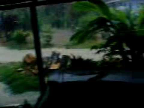 banjir kilat kg sg tiram