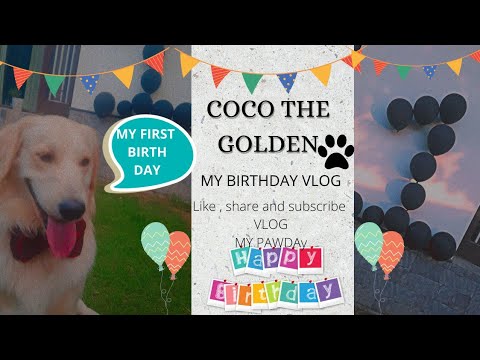 My 1st Birthday Vlog | Coco the golden | like , share and subscribe |