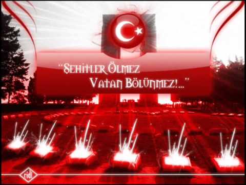 Dj Serseri  VATAN SAĞOLSUN