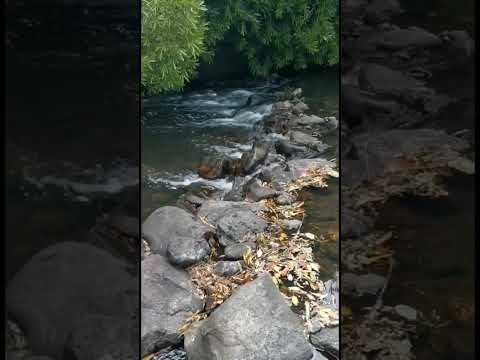 Arroyo Mataojo, Canelones, Uruguay, sonidos del agua.