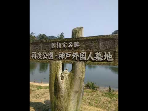 神戸再度公園、神戸外国人墓地へドライブ A