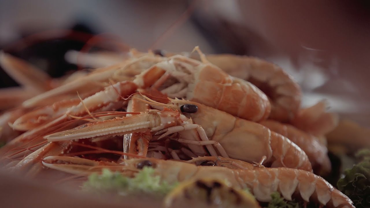 Using the sea as a supermarket? Why not? | Salt & seafood from Læsø | A Taste of Denmark