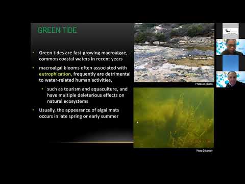 SAEON People & Ocean