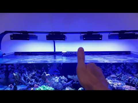 EcoTech 47129461 Radion Xr30 G6 Blue Led Aquarium Light Fixture Review