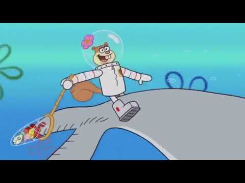 My Little Animal: The Movie Part 7 - The Mane 6's Mission to Find The Queen of Hippos