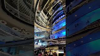 Msc Seaview she does'nt mind ⛴️  with msc friend around the world #mscseaviee #mscseascape #mscseasi