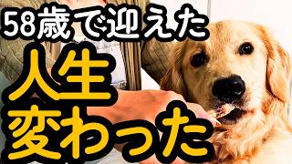 58歳で大型犬を飼って半年、人生が変わった。