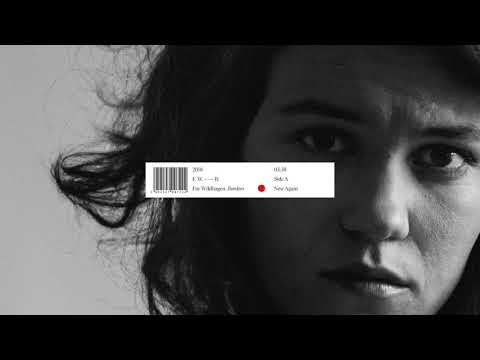 Fay Wildhagen - New Again (Official Audio)