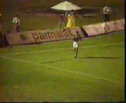 Palmeiras 4x1 Rio Branco