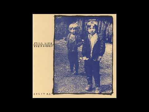 Bully Rag - Evergreen