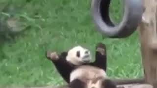 Download lagu LSD - AUDIO FT. SIA, DIPLO, LABRINTH mp3