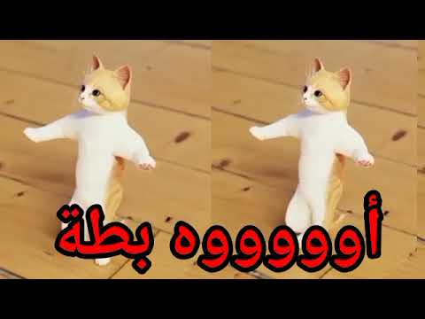 #اغنية#بطة#الحلوة#عيد_ميلاد#بطه#اول_تعليق#السعودية#الكويت#العراق#تركيا#لبحرين#الجزائر#دبي#جده#الرياض