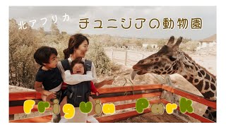 【チュニジア】スリル満点!?サファリみたいな動物園に子どもたちも大興奮!