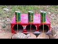 Quail Traps Using A Cardboard Box Simple DIY Bird Traps QuailTrap DIYBirdTrap CardboardBoxTrap