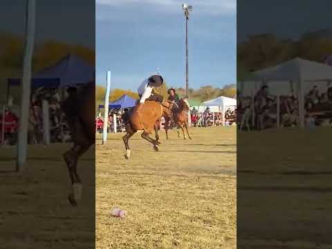 The Farewell vs. Ramón González