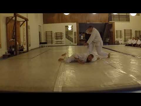 Aikido Iwama 2nd Kyu Test 1/4