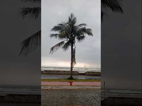 Praia Central de Mongaguá #litoralsulsp #praia #nostalgia #013 #pescaria #curtindoapraia