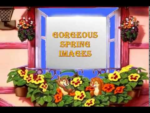 G O R G E O U S  -   S P R I N G  -   I M A G E S   -   !