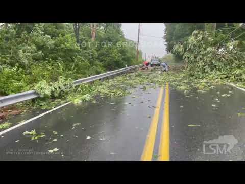 07-02-2022 Marietta,PA Large Hail & Damaging Winds Cause Storm Damage In Lancaster County