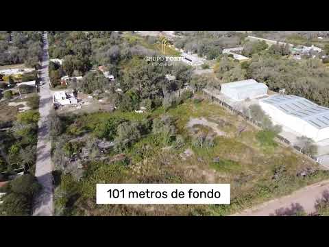 Hectárea en venta en Mi Granja, Cordoba📍