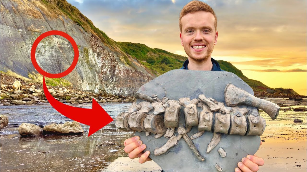 Plesiosaur Spine! We Searched A Landslide For Fossils! 